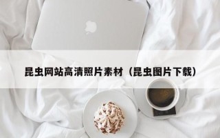 中山昆虫网站高清照片素材（昆虫图片下载）